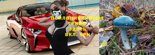 гидра Осинники