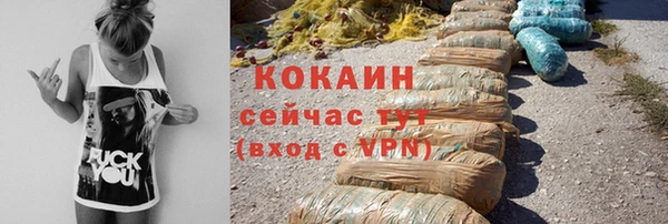 гидра Осинники