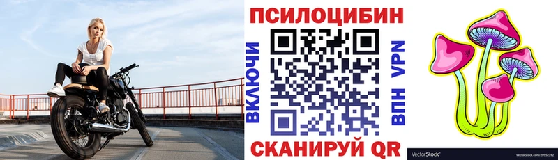 Псилоцибиновые грибы мицелий  Солигалич 